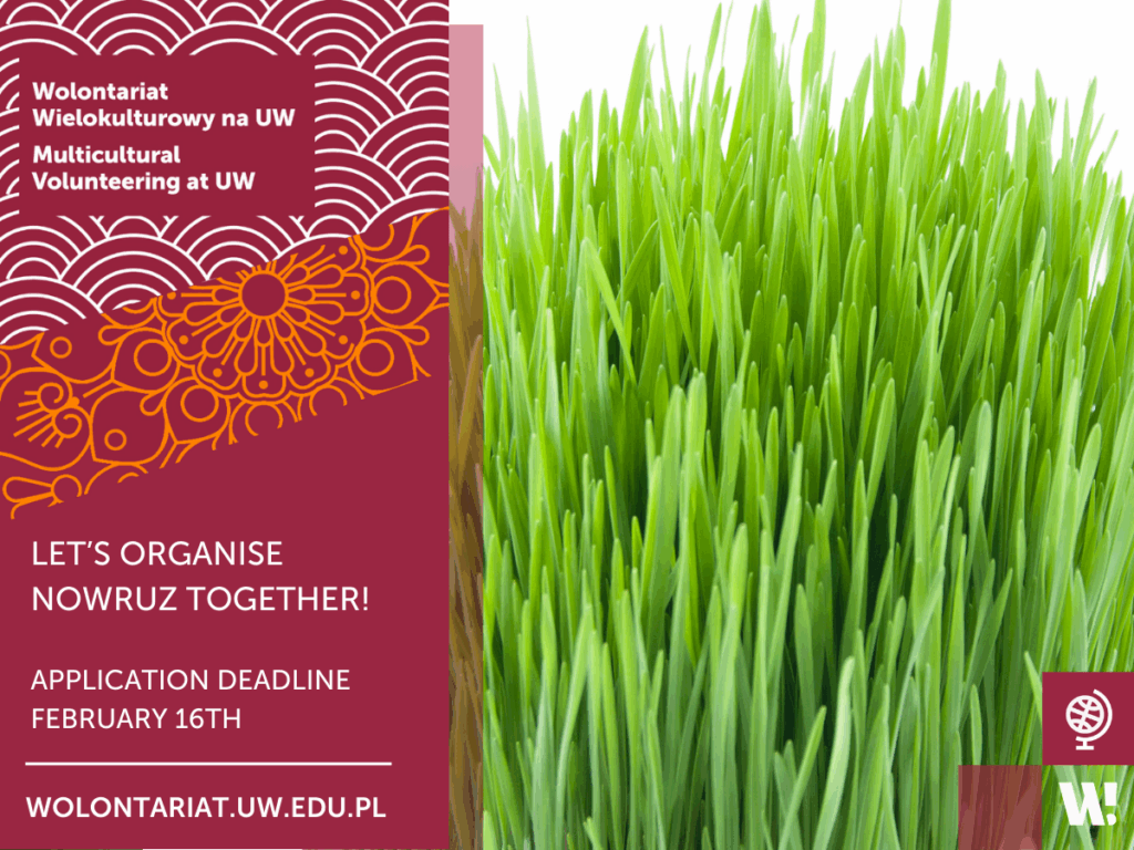 Graphic promoting Multicultural Volunteering at UW. All information from the graphic is included in the text.