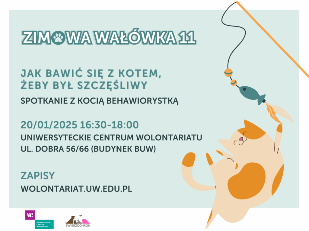 Grafika promująca spotkanie "Jak bawić się z kotem, żeby był szczęśliwy" z rysunkiem uśmiechniętego kota bawiącego się kocią wędką. Informacje z grafiki znajdują się w treści ogłoszenia.