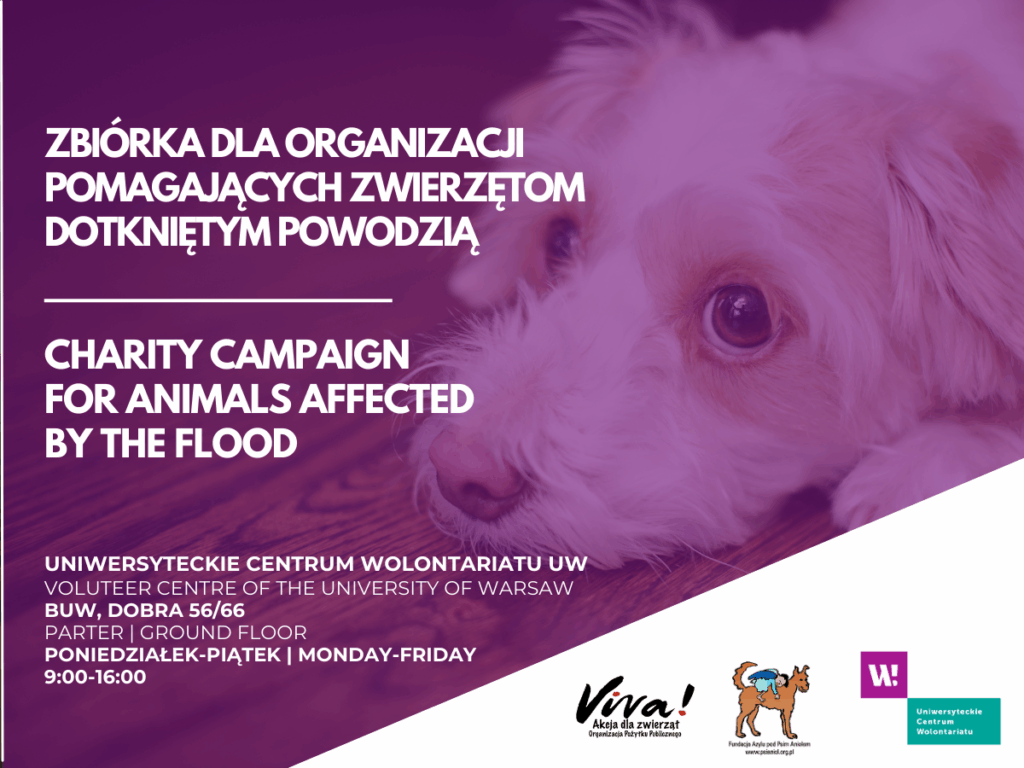 Graphic promoting a charity campaign for animals affected by the flood. All information from the graphic is in the text.